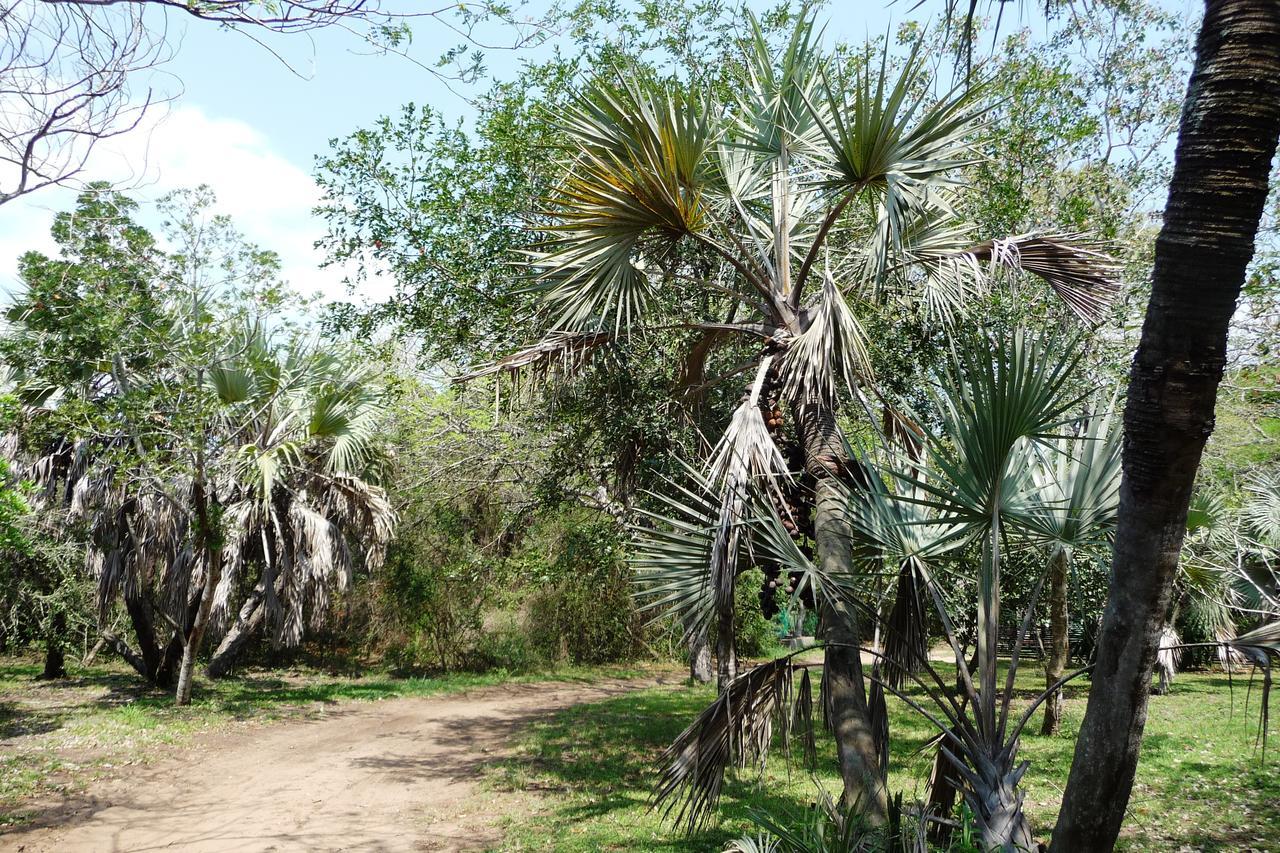 Isinkwe Bush Camp Villa Hluhluwe Kültér fotó